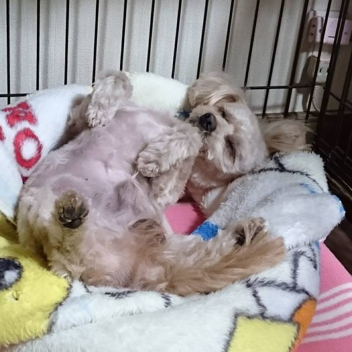 38e5608c f9d6 4960 ad10 c28f3ac50c65 1607261649466