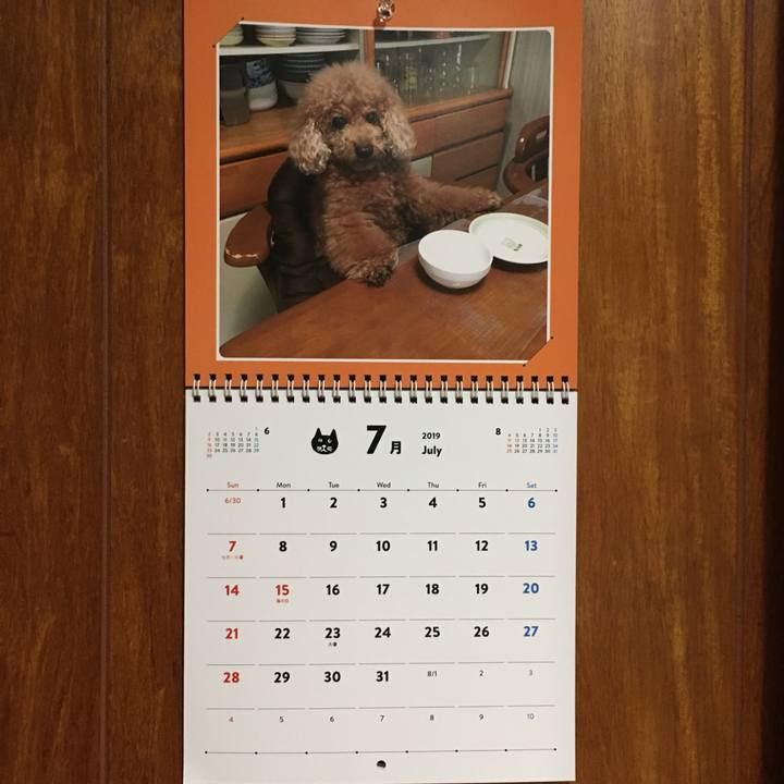 38e56b28 3d51 4574 943f d9842210dca0 1564576896441