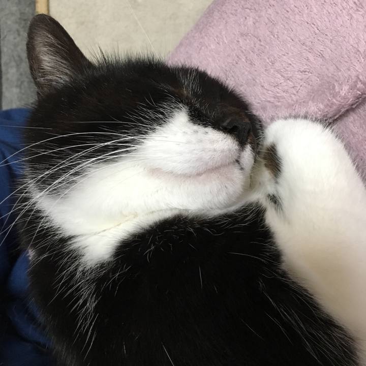 38e56ce9 ed89 4376 b059 b89e7cb2b1bb 1519027178855