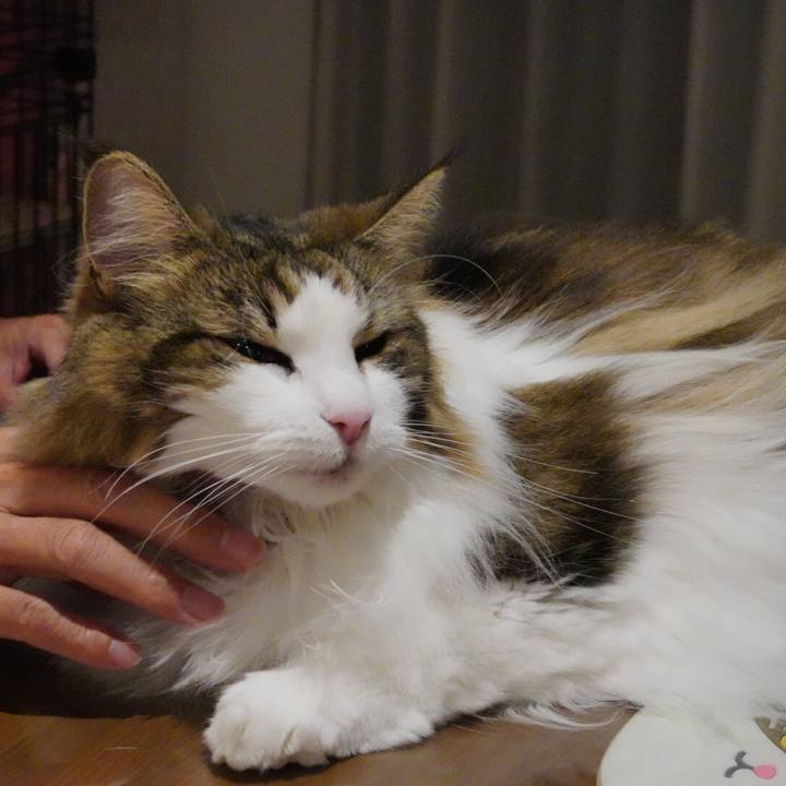 38e5901c a406 45fc a140 91fa9b1a0e8b 1660650213230