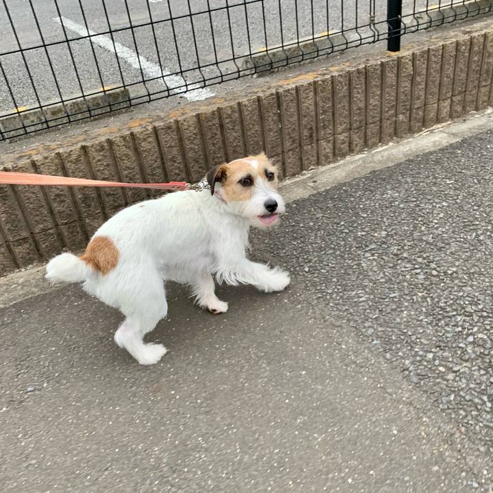 38e590f9 eefe 4374 96f1 476f9b9cd419 1620816117324