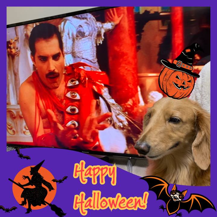 38e5f406 51a7 46ca 9574 092e95240ba8 1604156504406