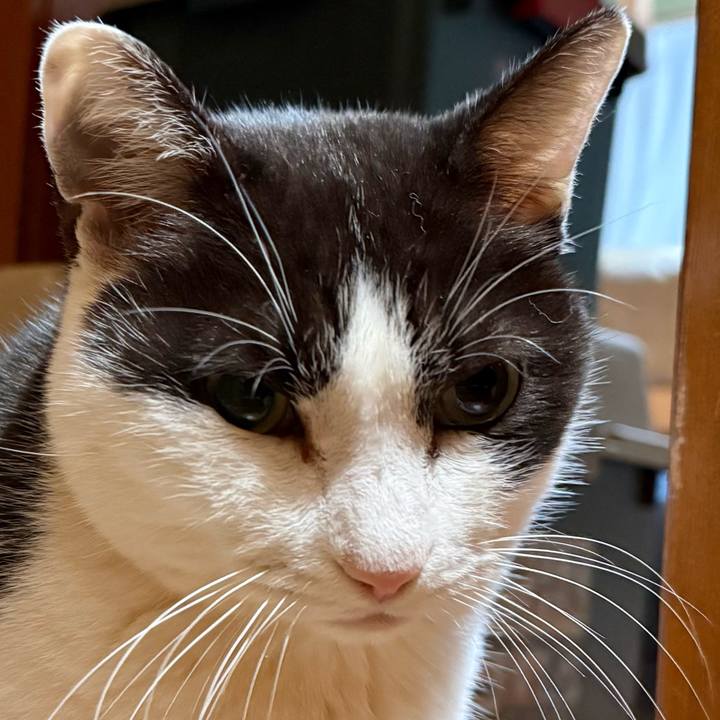 38e633b5 df41 42ce b21c a84064d6d9c5 1765588697792