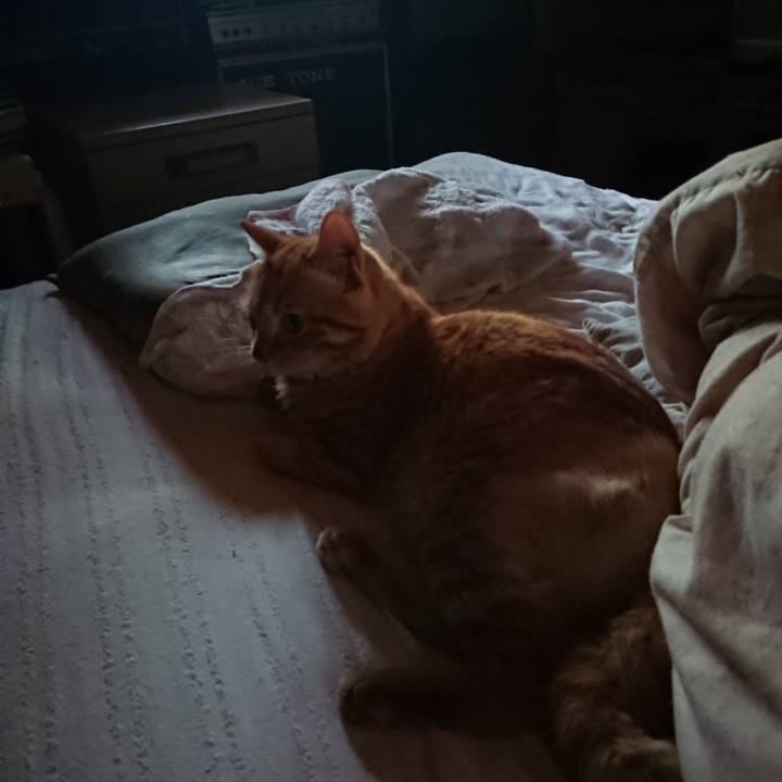 38e64055 efe3 4e1d 8b74 293c70744860 1656968315196