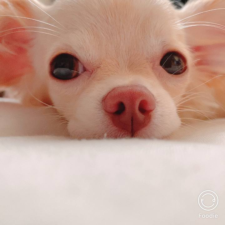 38e648d6 b2c9 411b a241 262be7daace9 1602554898007