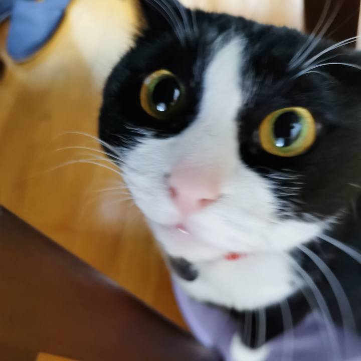 38e664e0 22c1 4780 962f 74c59827805b 1647071540873