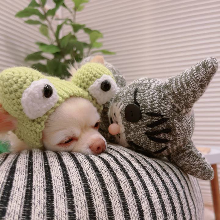 38e68945 3aa9 4366 aa93 9396eec87c23 1688286604200