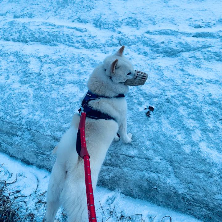 38e690fc 0c30 4676 934b 17eddfd4618e 1648849441018