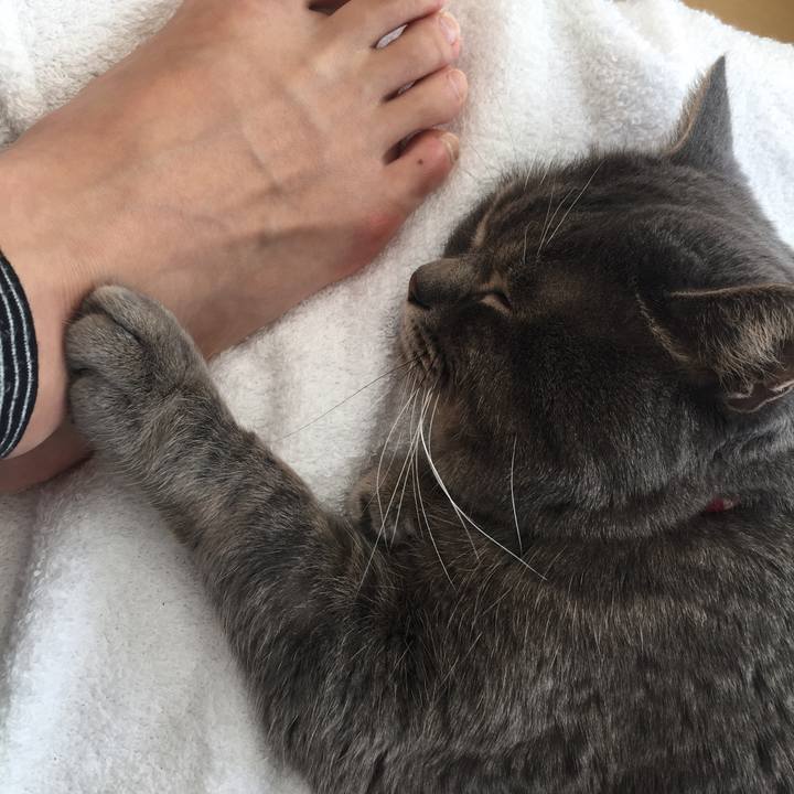 38e6ccc6 d29e 4655 9bcb f8b1a076bb33 1516415237265