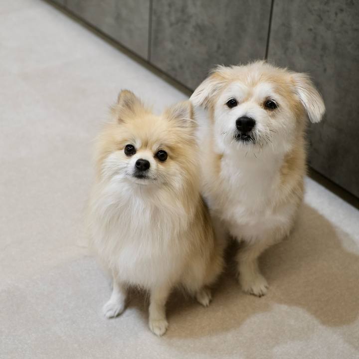 38e708d7 f59d 4462 87bb bc9355d392b0 1766352598628