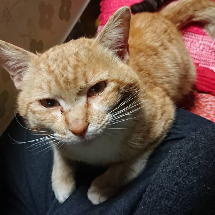 38e71507 e585 448e b5ed 1236e887a977 1554975244978