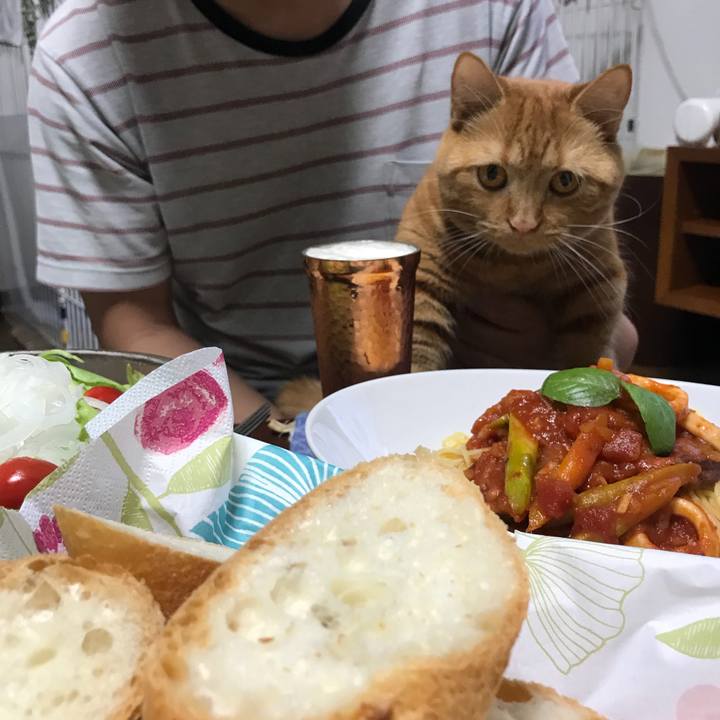 38e71f03 2eed 4db4 8a4d 6845514b7ab0 1535627834315