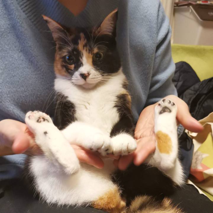 38e78e1c 095e 49dc a34b a4ef4a8556f4 1639367305958