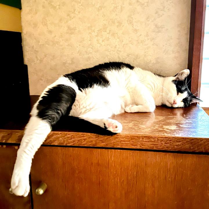 38e7b83a b0c1 40e4 af11 f7fe857dc873 1693443413664