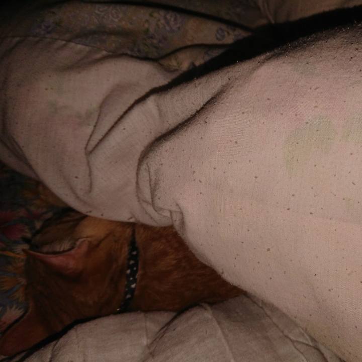 38e7dacc cf92 439f 9d96 f000b4b2a528 1641588409085