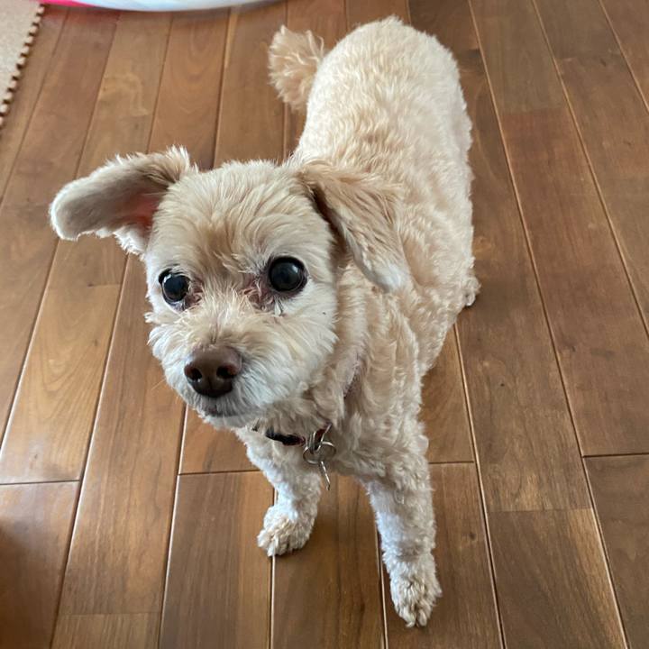 38e7e06c 4ed4 448f 9135 b61f109c80c9 1691483525952