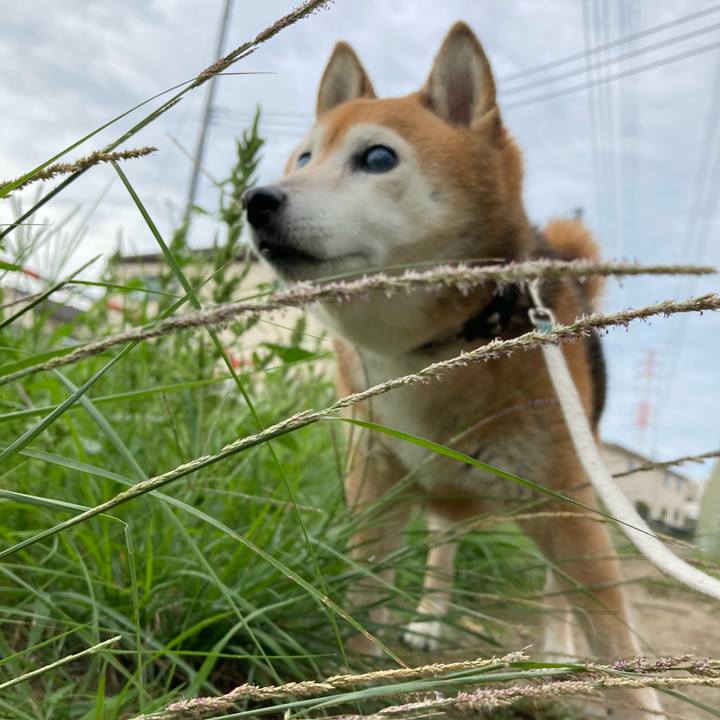 38e80951 7240 4704 835d 1506fba1690c 1729036814050