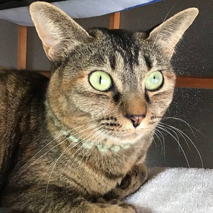 38e811c1 0c48 4af9 a3a0 b477cdd8d20e 1644802958412