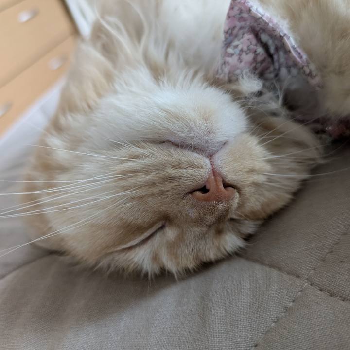 38e8194e 886f 4360 9d14 db59f6ed814e 1749349951873