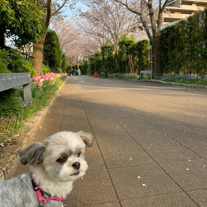 38e84690 a7a0 42d8 978b 4a9a9970454f 1585904357977