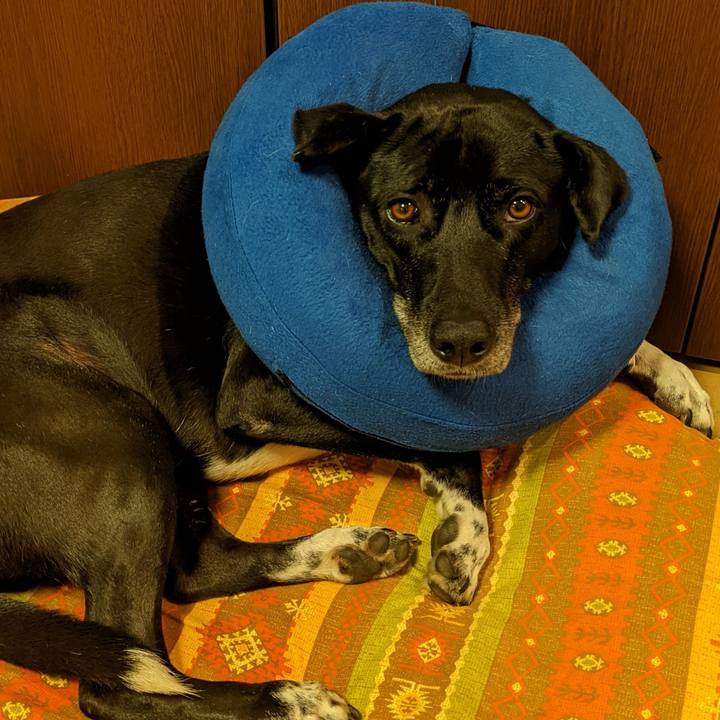 38e84ae2 7ad9 4c92 ad2d 19d8e4423782 1671067248320