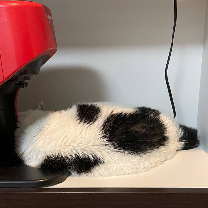 38e8ad4e 0ded 4701 96b3 77bb8a3832bd 1622984340976