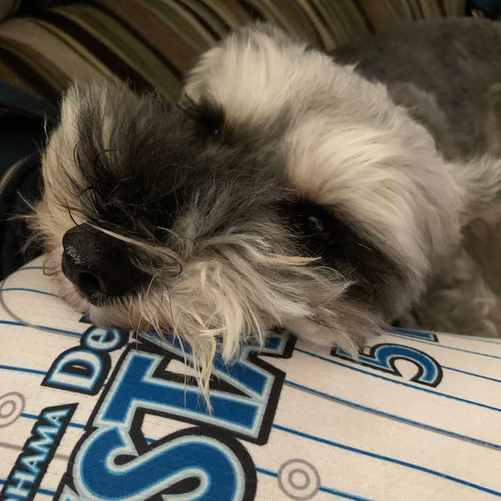 38e8b161 bab8 4e86 b054 560bd2c341ac 1600482380088