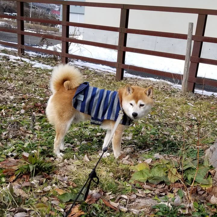 38e8ba71 4aaf 4ea9 8048 dac444a90ac5 1580703353532