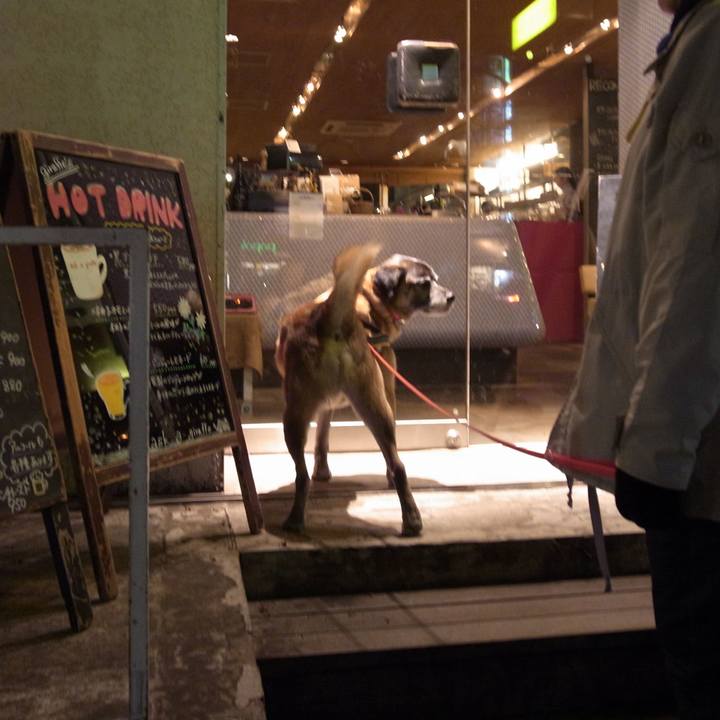 38e8c36c 0213 49f2 90b4 402851190902 1584144015919