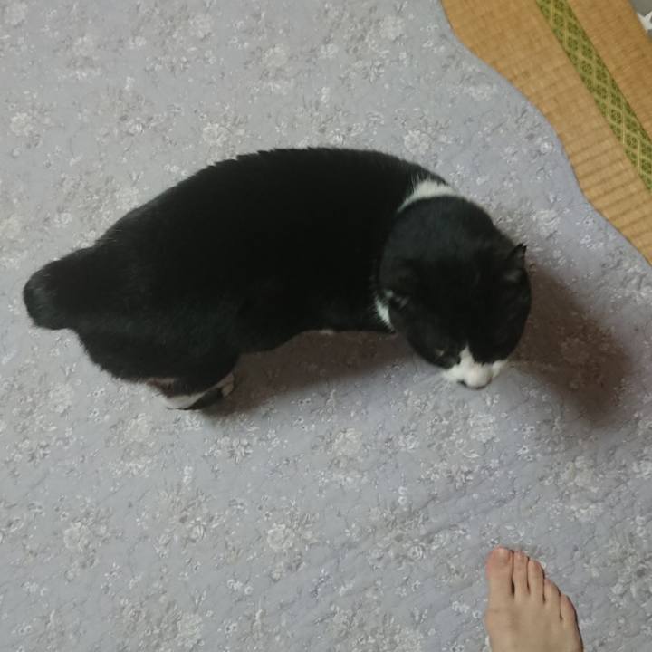 38e8cac1 6ed2 4d75 bb7c 17a64a61942d 1586256206673