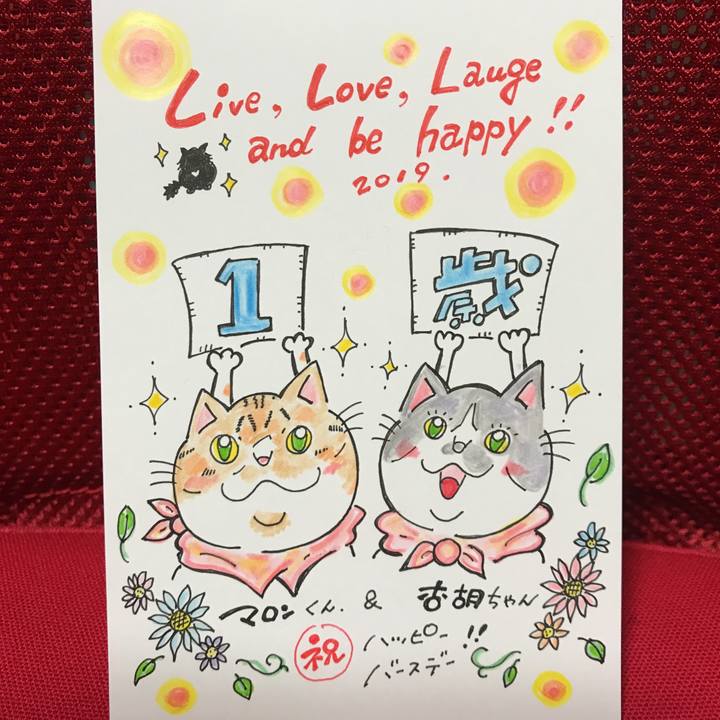 38e8dee2 6c41 43d4 8d52 c48732759a86 1550669550216