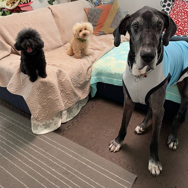 38e9054d 77f8 4872 9d05 bc3314ee4078 1626389686517