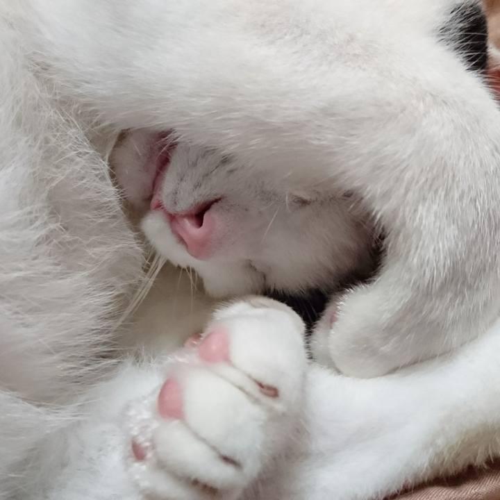 38e93ffb 473a 459c bed6 c0a3a892eb7b 1540038374815