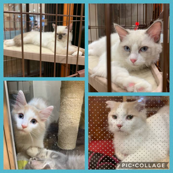 38e952d2 dec5 4283 b64f 2b9f1aa1b097 1605349407943