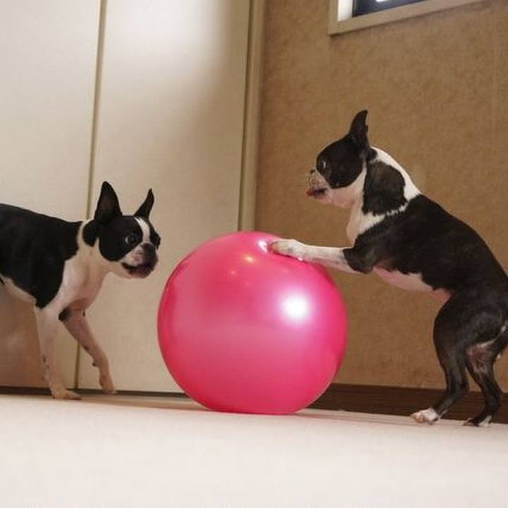 38e95e6e 0277 4d33 ae9c 1bb7ce55b55a 1530158174233