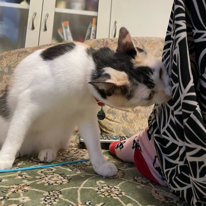 38e988b7 f75b 4464 bdb1 24d1905e1ed9 1725873226842