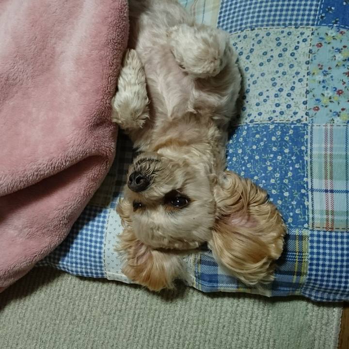 38e98ac6 21fd 42d7 9009 1d4482d1df93 1575558723434