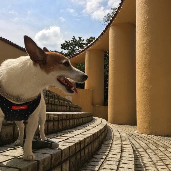 38e99db6 8097 4cd1 9a55 3cc9becc2461 1600817239560