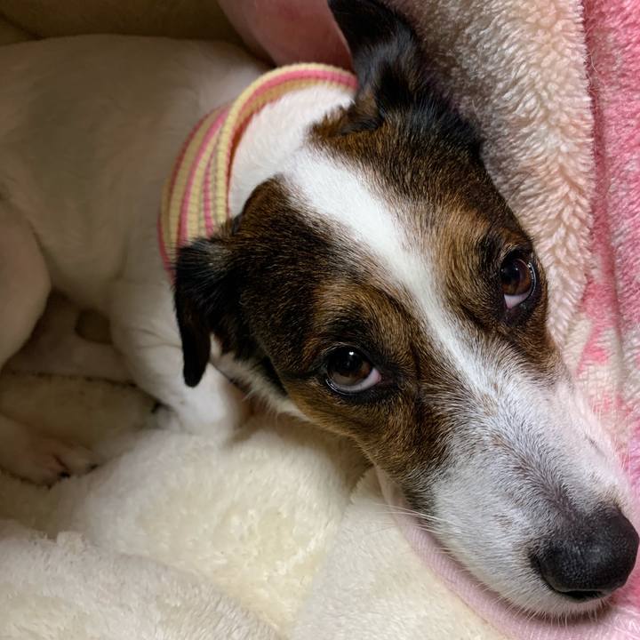 38e9d1de 4104 431a 94a3 2be7675ceca0 1581683104127