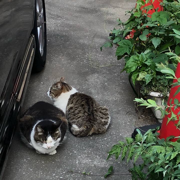 38e9e2f5 3d37 4c64 acc0 adaebb8922cf 1527171736038