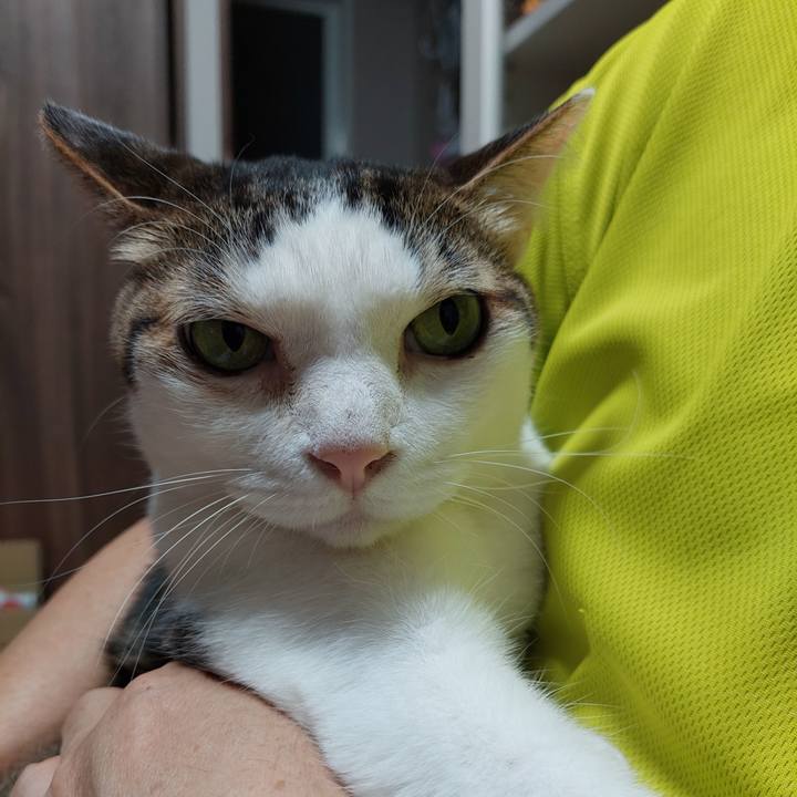 38ea00a6 4be0 4974 9240 7ed8d058fa24 1654944125342