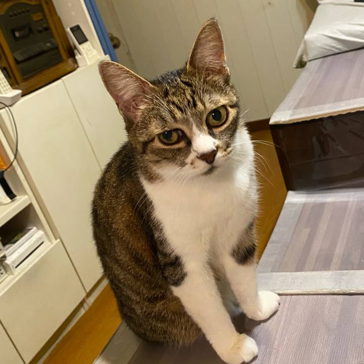 38ea5a93 1287 467b b605 9039434132b7 1627383655826