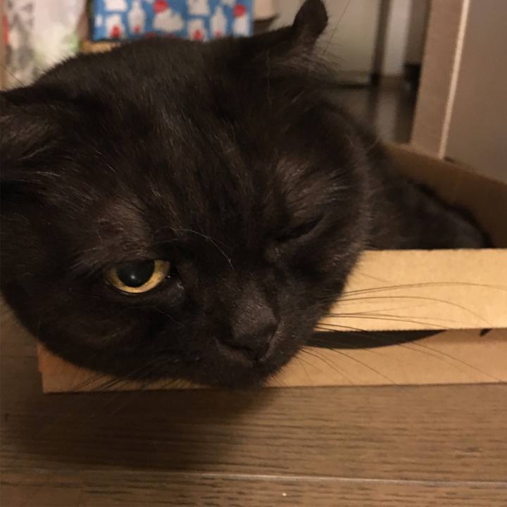 38ea5bff 0a22 407d 8265 680a8b0ddd6f 1536685050848