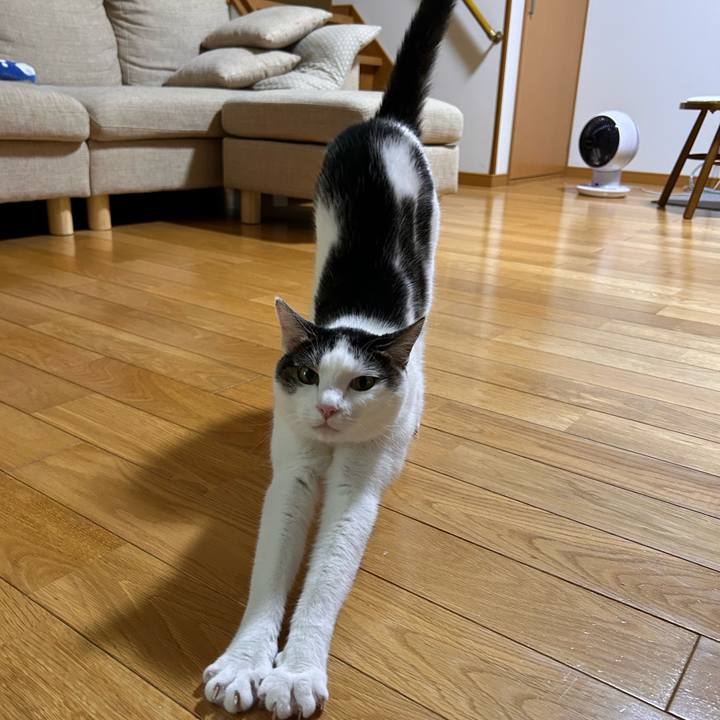 38ea8b4e 4d42 4a22 a1cc 977804be9638 1724318650565