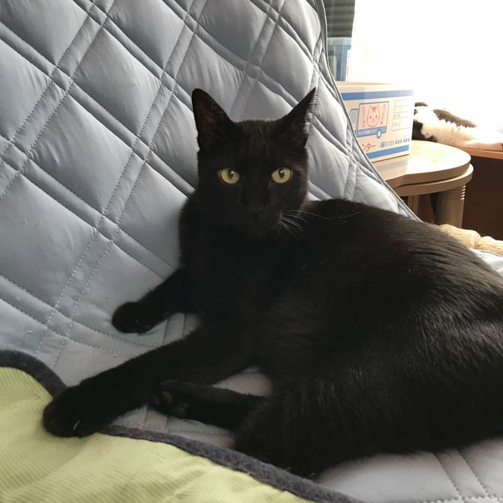 38ea8cc2 14f7 4017 b6e8 80a5d4c5af4f 1535328394321