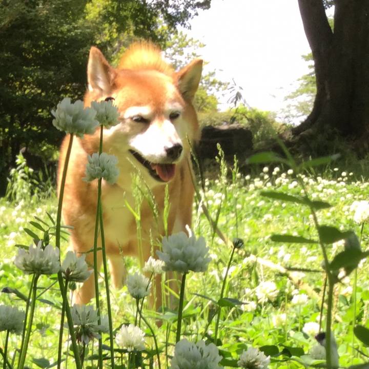 38eacb7f ac7a 402c a16c 4dce03bbd351 1620617295630