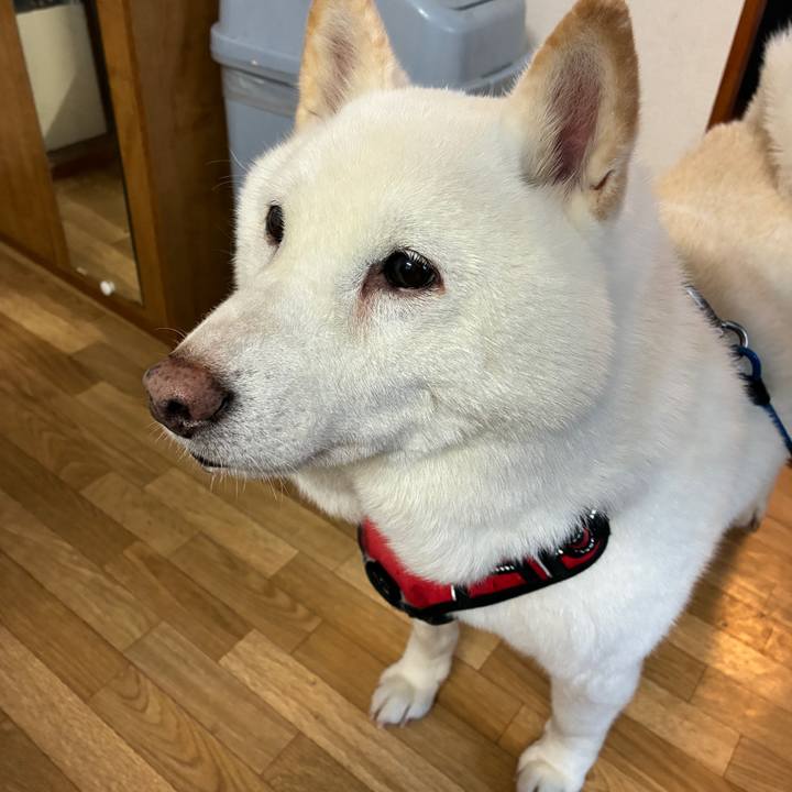 38eaf91c e530 4508 95e2 0e607cc8fa9e 1762553687385