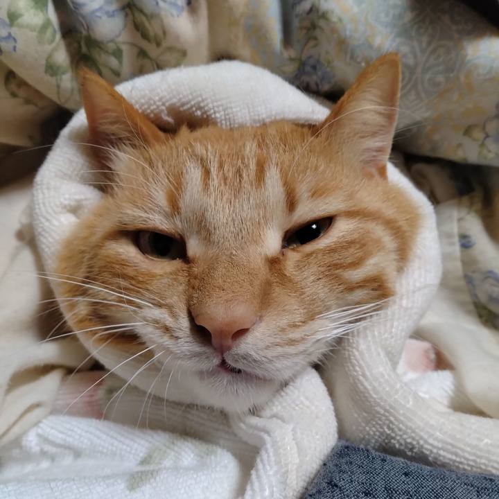 38eafafe aa32 46c0 a1bd 804c95a38998 1715256887015