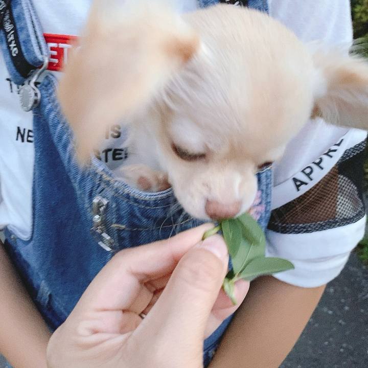 38eaff06 4d87 4784 8976 5b3557d297a5 1595212113703