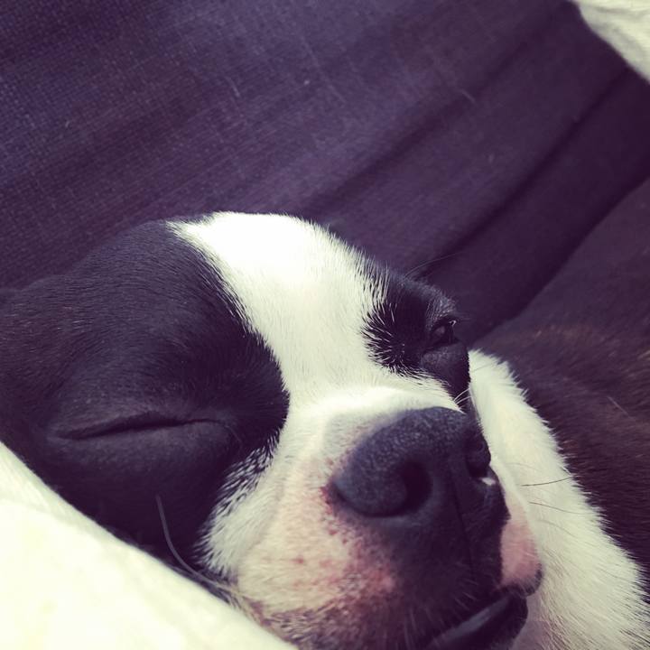 38eb0102 d0c4 4fd9 9d2c 1807b0e110b8 1508641371389